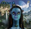 avatar_character