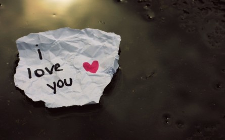 wallpaper-2251437