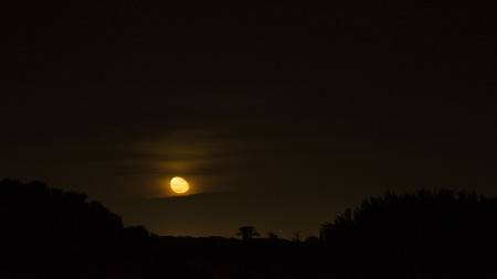 Alba della Luna, 10 novembre 2014 - MyMoon © Valentina Cinelli